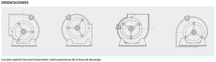 Orientación