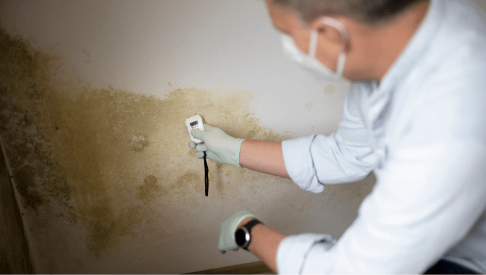 Problema de la humedad en sótanos y cómo solucionarlo