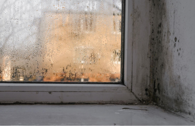 Étude de cas : comment lutter contre l’humidité dans une maison avec des problèmes de condensation dans les murs