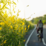 ¿Qué contiene el aire que respiramos? Te contamos cuáles son los contaminantes más comunes