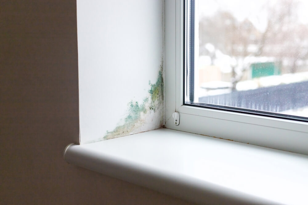 Ventilación mecánica en obra nueva: solución para evitar moho y prevenir humedad
