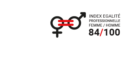 Egapro index &eacute;galit&eacute; professionnelle femme homme